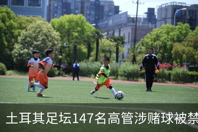 土耳其足坛147名高管涉赌球被禁赛45天，特拉布宗体育主席在列